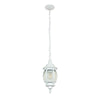 FAROL COLGANTE EXTERIOR TECNOLITE SIENA II BLANCO E27