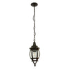 FAROL COLGANTE EXTERIOR TECNOLITE SIENA II NEGRO E27